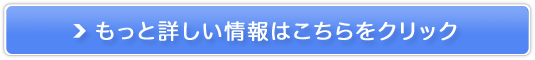 jrWlXG[g̗Ep[eB[yv~AXeC^XzQ W̔TCg